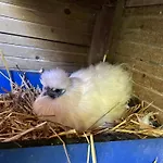 La Ferme Du Paradis 3*
