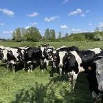 La Ferme Du Paradis 3* Merris