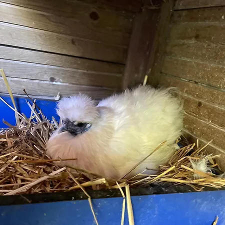 La Ferme Du Paradis 3*