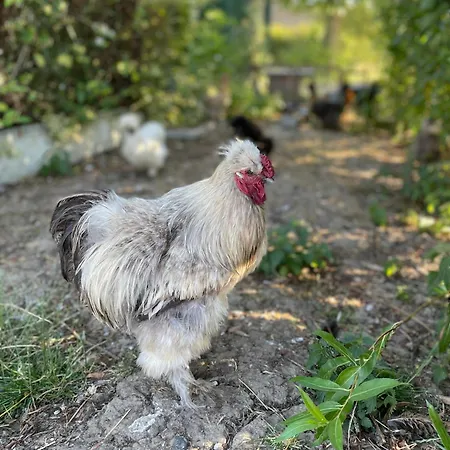La Ferme Du Paradis לינה וארוחת בוקר