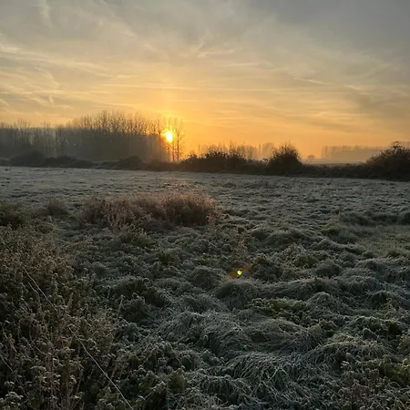 La Ferme Du Paradis Merris