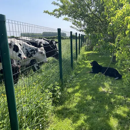 Alojamento de Acomodação e Pequeno-almoço La Ferme Du Paradis 3*
