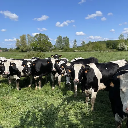 La Ferme Du Paradis 3* Merris