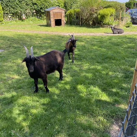 La Ferme Du Paradis Frühstückspension
