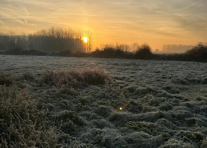 Le Relais De La Dentelle Merris