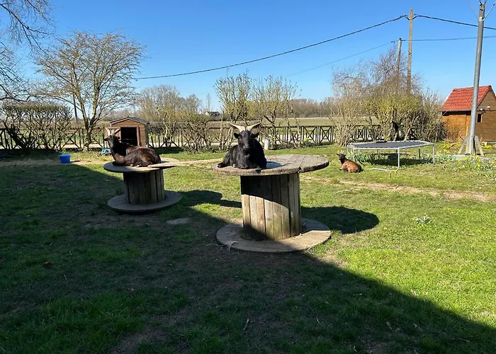 Le Relais De La Dentelle 3* Merris