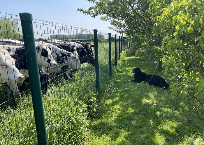 Couette-café Le Relais De La Dentelle 3*