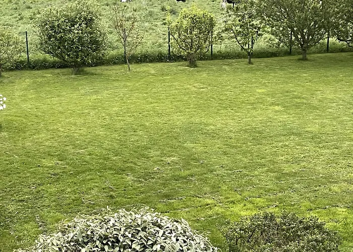 Le Relais De La Dentelle 3* Merris